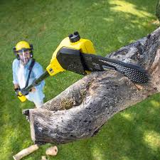 Best Lawn Mowing  in Reeds Spring, MO